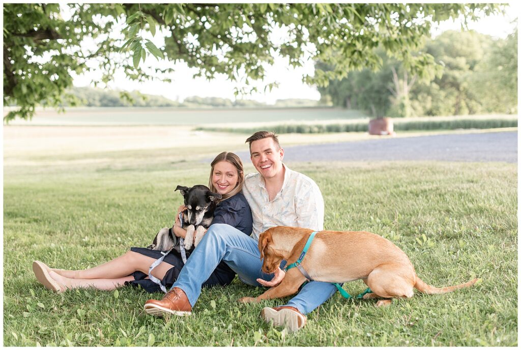 engaged couple sitting on the grass with their two pups on their laps on sunny spring evening in pennsylvania