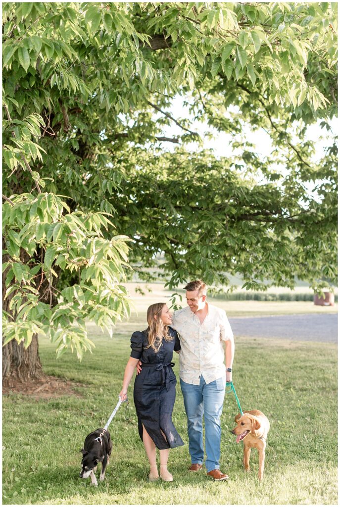 woman in navy blue dress and man in white button-up shirt with blue jeans and their two pups walking towards camera in pennsylvania