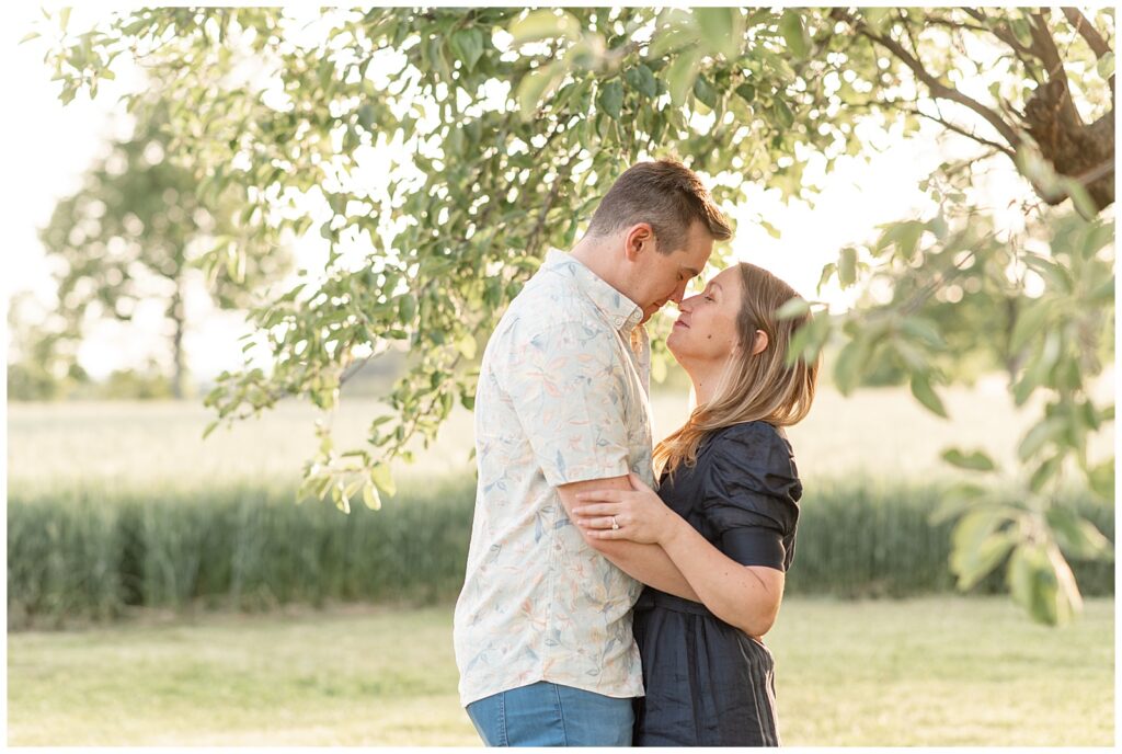 engaged couple hugging tightly with their noses touching as they smile at sunset by trees and wheat field in pennsylvania