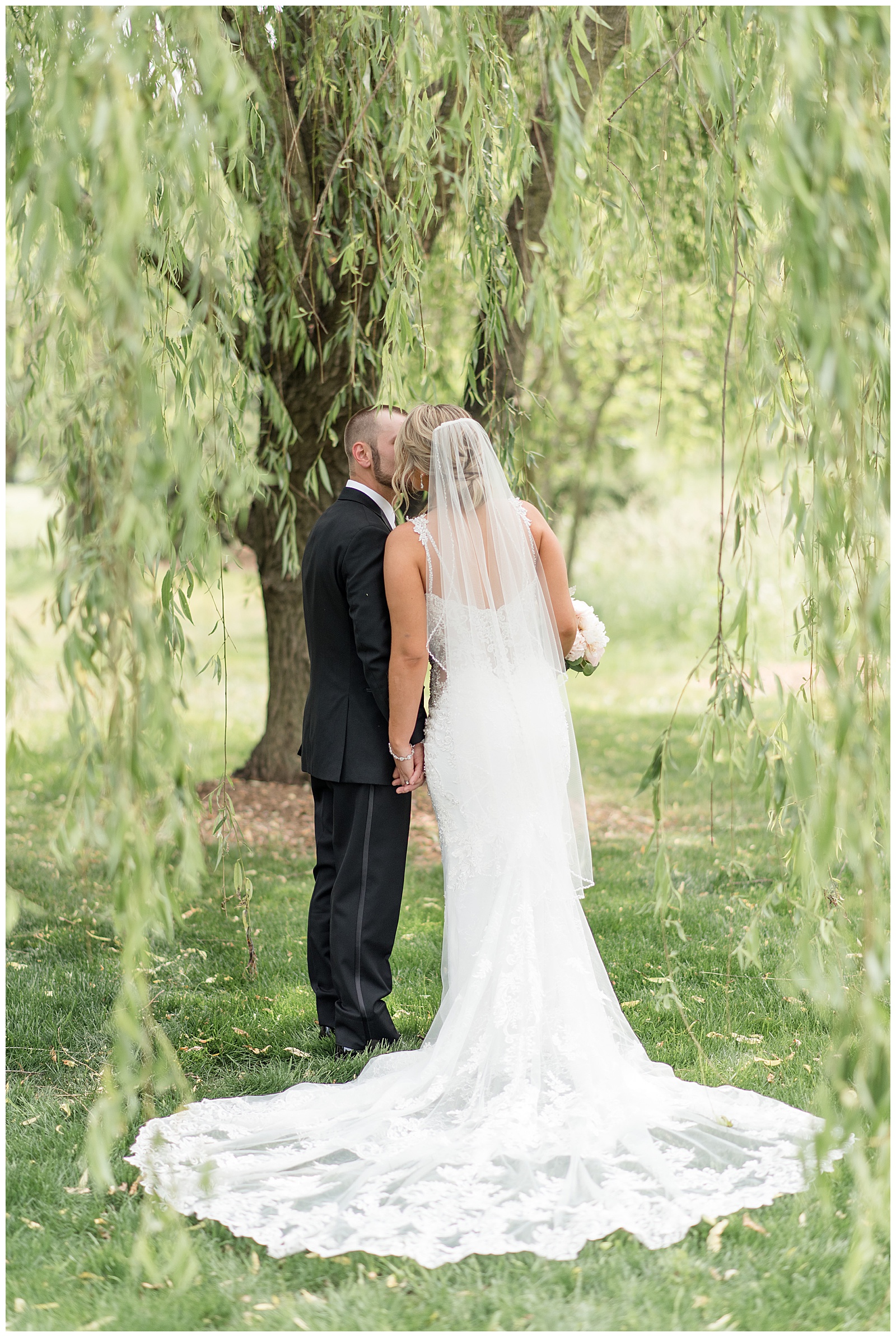 bride and groom holding hands and kissing with backs toward camera by willow tree at stoltzfus homestead and gardens