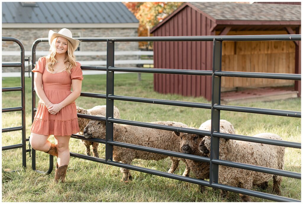 senior girl standing by metal gate with flock of sheep near her in york pennsylvania