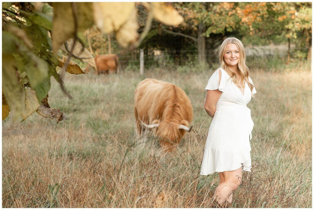 senior girl in cute white dress standing in meadow with tall grass by highland cow in pennsylvania