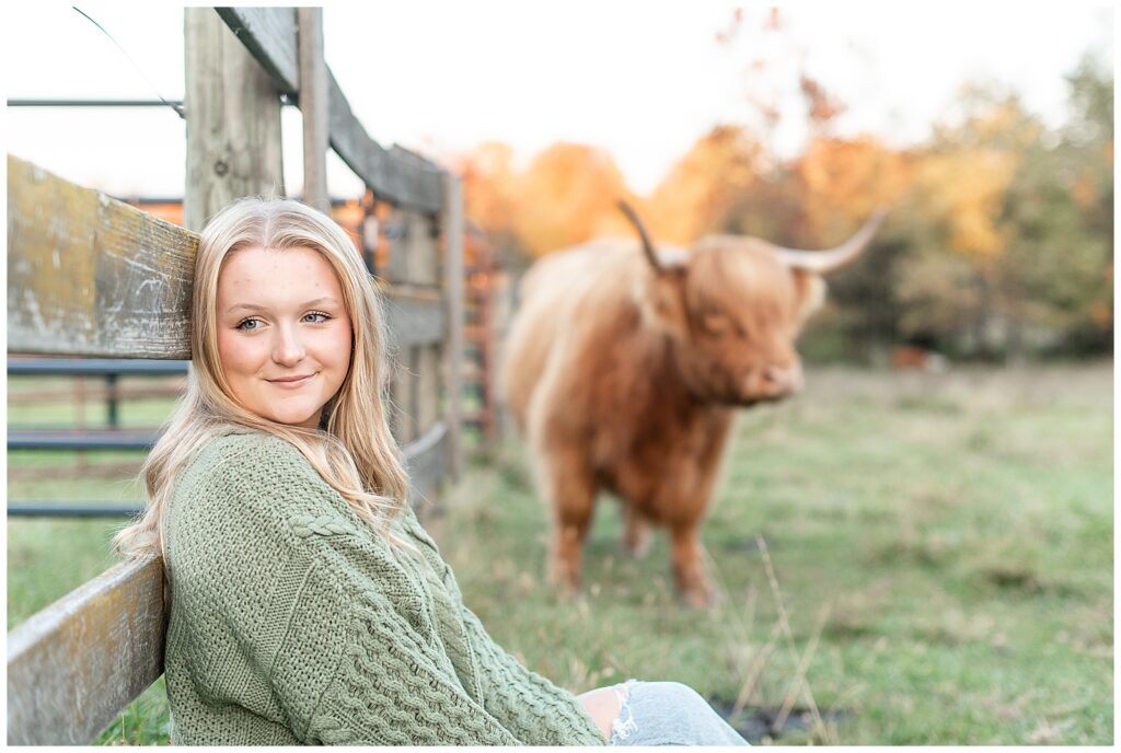 senior girl in green sweater and blue jeans sitting against fence with highland cow near her at sunset in york pennsylvania