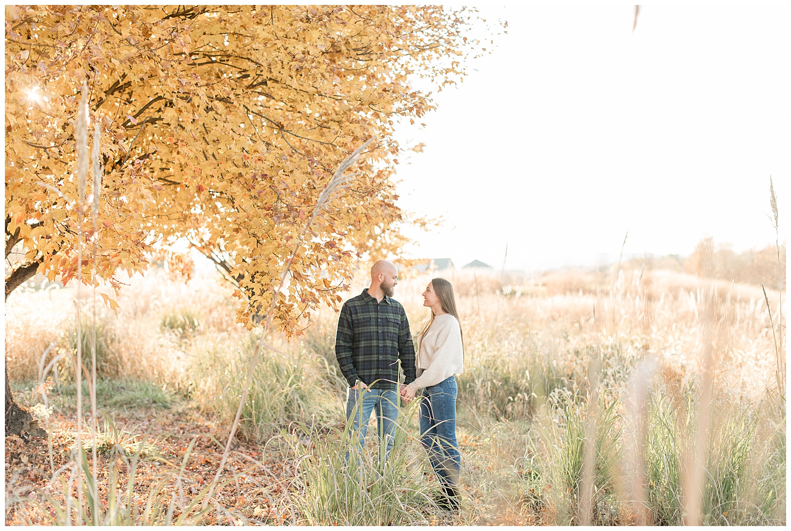 engaged couple holding hands and looking at each other by fall tree with yellow leaves and wild grasses at overlook park