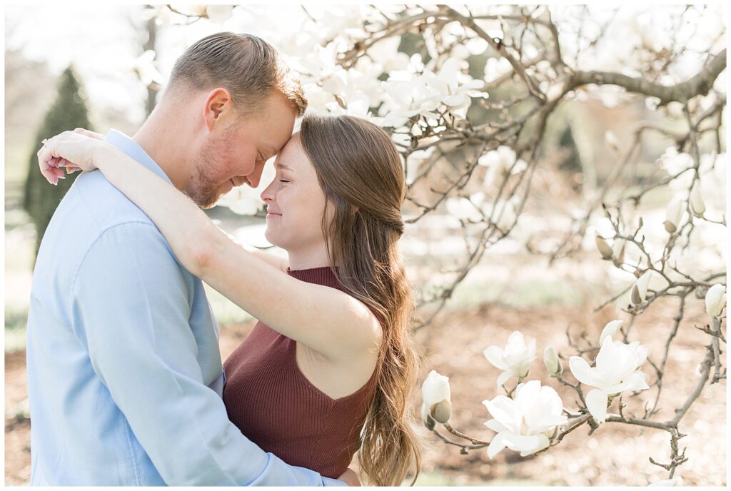 couple hugging with their foreheads touching and their eyes closed by blooming tree in longwood gardens