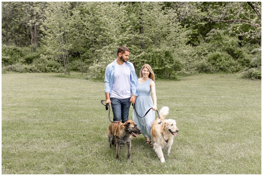 engaged couple wearing pastel blue and walking towards the camera with their two leashed dogs at hibernia park