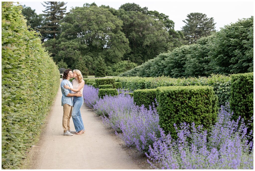 engaged couple kissing on path by landscaped bushes and purple blooming lavender at longwood gardens