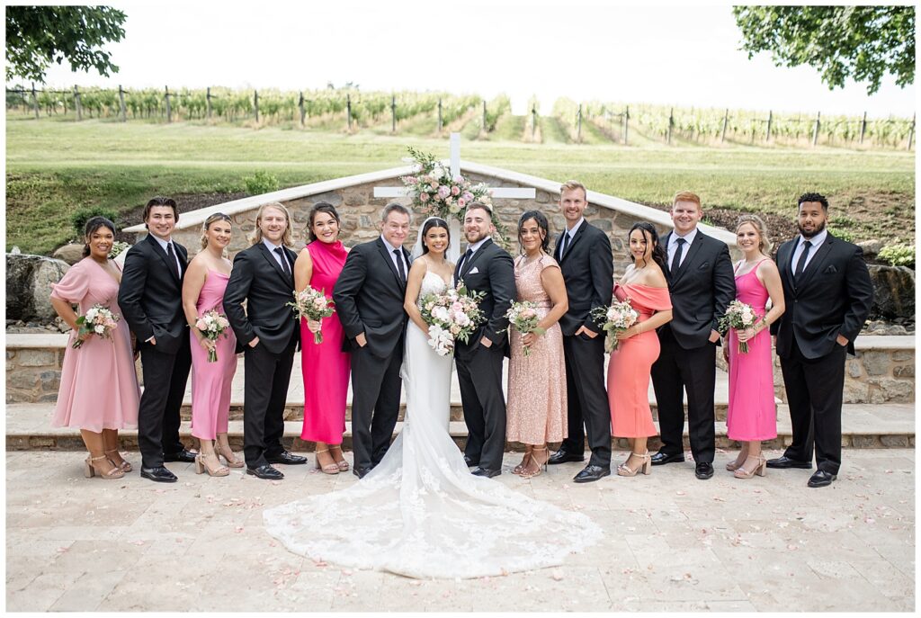 couple with their bridal party near vineyard at domain pterion in macungie pennsylvania