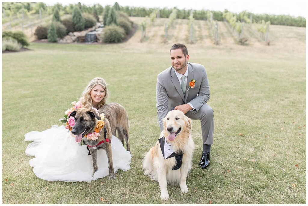 couple crouched down in lawn by their two dogs at vineyard at folino estate