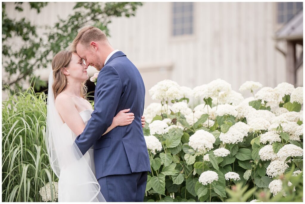 Bride and groom rest foreheads together with arms wrapped around surrounded by a sea of hydrangeas