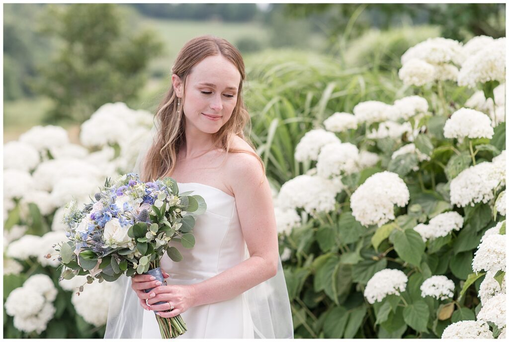 French Creek Golf Club wedding bridal Portraits in front of white hydrangea bushes