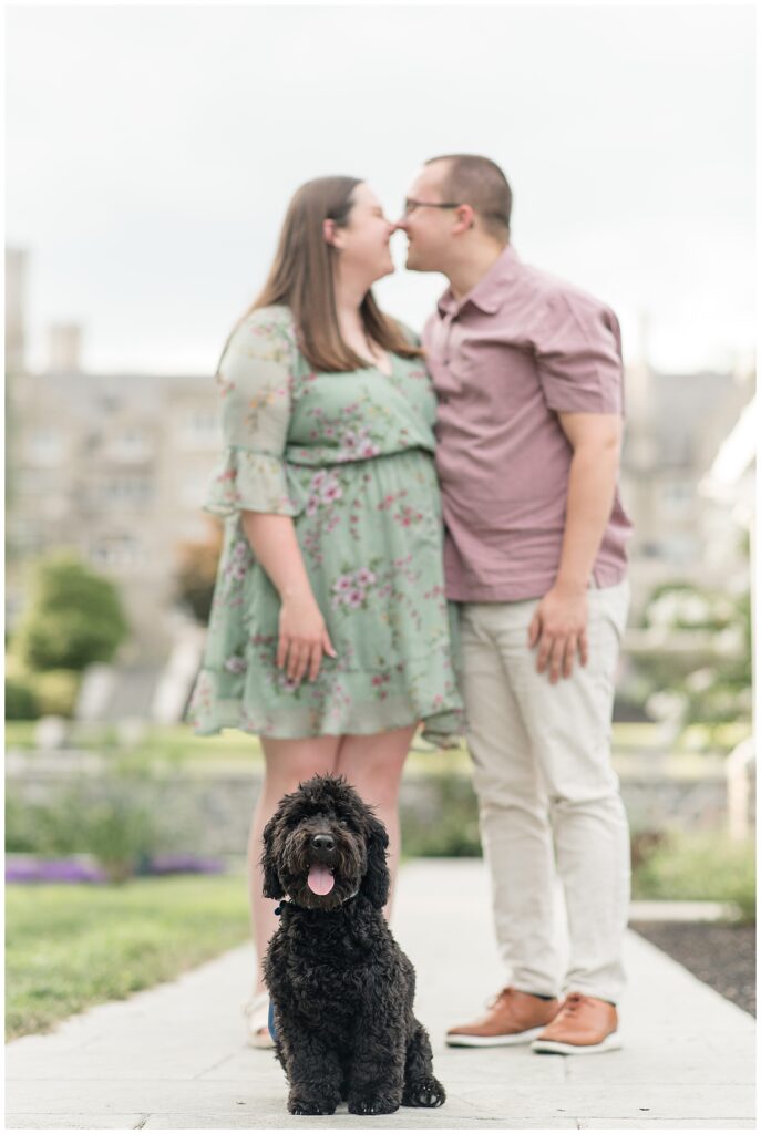 couple almost kissing as their puppy sits in front of them on summer evening in lancaster county