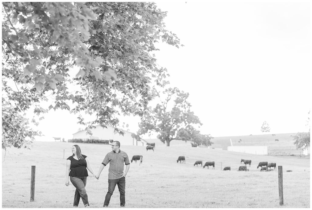 black and white photo of couple holding hands and walking in field with cows in the distance at masonic village