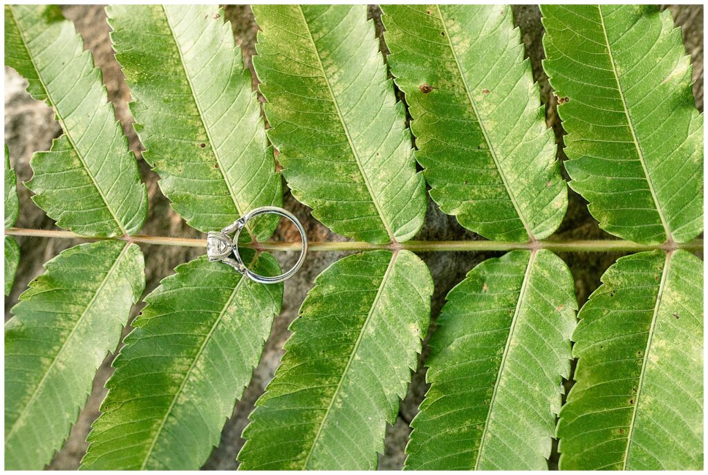 diamond engagement ring resting atop leaves of a fern at pinnacle point in holtwood pennsylvania