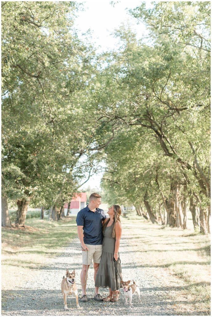 engaged couple with their two pups on tree-lined path at family farm in chesapeake city