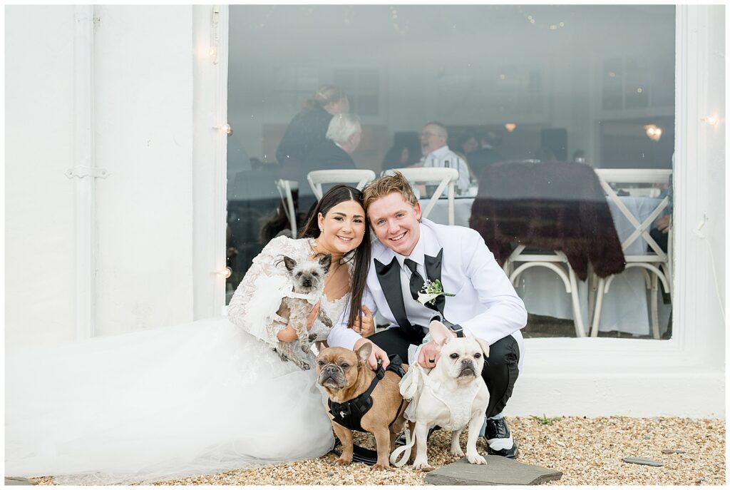 couple crouched down with their three french bulldogs for this Wedding at The Rotunda at Lauxmont Farms