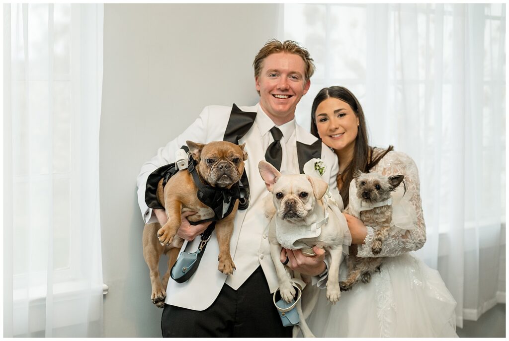 couple smiling and holding their three french bulldogs for this Wedding at The Rotunda at Lauxmont Farms